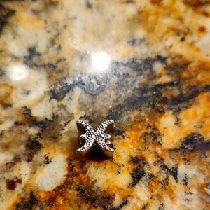 Silver Pieces Pandora Charm